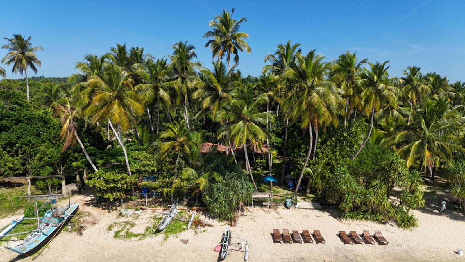 ホテル Esperanza Beach Mawella タンガラ エクステリア 写真